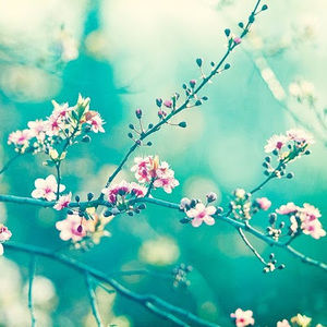 Meet your Posher, Tamela